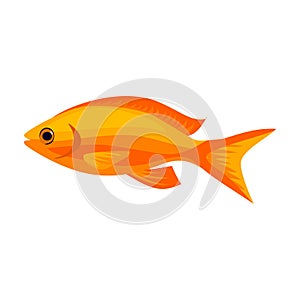 Tropical fish vector icon.Cartoon vector icon isolated on white background tropical fish.