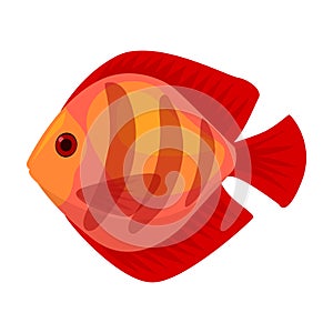 Tropical fish vector icon.Cartoon vector icon isolated on white background tropical fish.