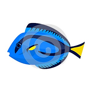 Tropical fish vector icon.Cartoon vector icon isolated on white background tropical fish.