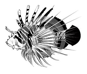 Tropical fish. Vector illustration