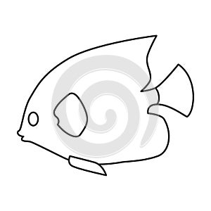 Tropical fish vector outline icon. Vector illustration exotic aunafish on white background. Isolated outline