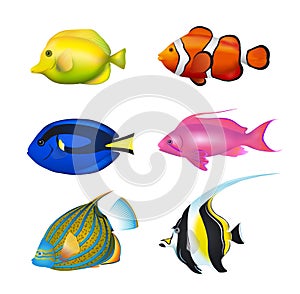Tropical Fishes Set