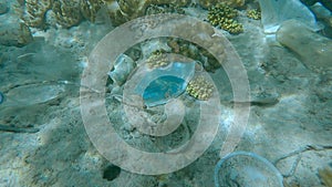 Tropical fishes swims over the coral reef covered with a lot plastic and other garbage. Face masks, plastic bottles, bags and othe