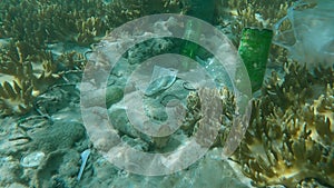 Tropical fishes swims over the coral reef covered with a lot plastic and other garbage. Face masks, plastic bottles, bags and othe