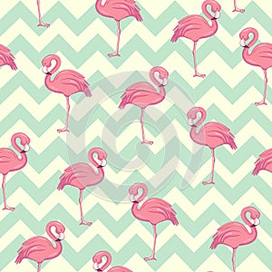 Tropical flamingo pattern