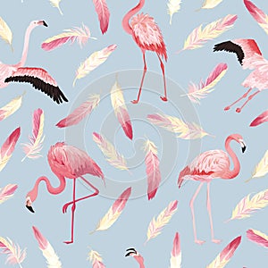 Tropical Flamingo seamless summer pattern with pink feathers. Bird background for wallpapers, web page, texture, textile.