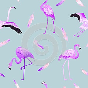 Tropical Flamingo seamless summer pattern with pink feathers. Bird background for wallpapers, web page, texture, textile.