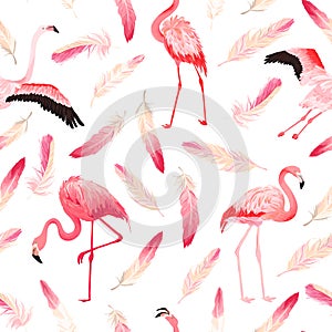 Tropical Flamingo seamless vector summer pattern with pink feathers. Exotic Pink Bird background for wallpapers web page