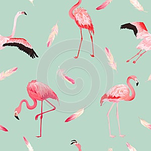 Tropical Flamingo seamless vector summer pattern with pink feathers. Exotic Pink Bird background for wallpapers web page