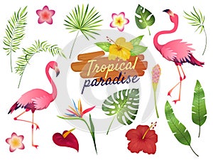 Tropical flamingos. Pink flamingo jungle flowers palm leaves, nature, summer beach, cute exotic plants flora cartoon