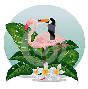 tropical flamish with toucan and flowers with leaves photo