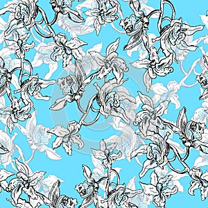 Tropical floral floral pattern. Orchid branches with flowers in ink, hand drawn on turquoise blue yellow background