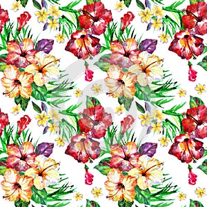 Tropical floral pattern. Watercolor painted flowers plumeria. White exotic flower frangipani repeating backdrop.