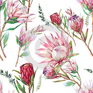 Tropical floral seamless pattern with proteas