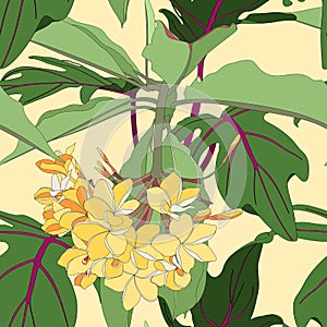 Tropical floral summer seamless pattern background with plumeria flowers and exotic leaves.