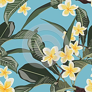 Tropical floral summer seamless pattern background with plumeria flowers with leaves.