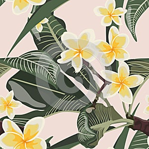 Tropical floral summer seamless pattern background with plumeria flowers with leaves.