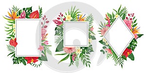 Tropical flower frames. Botanical tropics borders, tropic flowers invitation frame and summer plants green leaves vector
