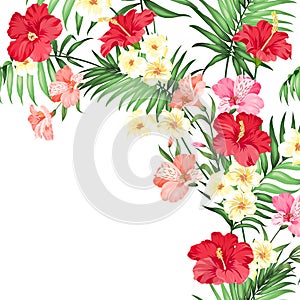 Tropical flower garland.