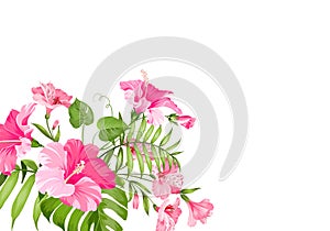 Tropical flower garland isolated over white background. Bouquet of aromatic tropical flowers. Invitation card template