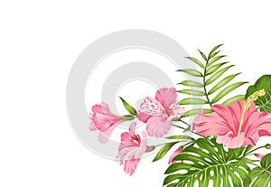 Tropical flower garland isolated over white background. Bouquet of aromatic tropical flowers. Invitation card template