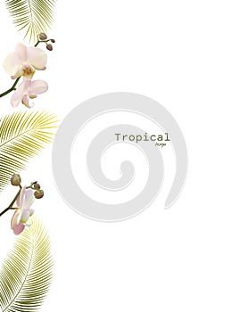 Tropical flower. Pink orchid. Branch of an exotic plant. Phalaenopsis. Green palm leaves.
