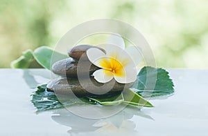 tropical flower on thw stones with green leaves for massage room photo
