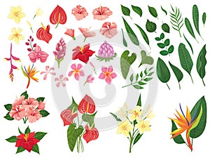 Tropical flower. Tropic forest flowers, exotic tropics plants leaves and flowering branch vector illustration set photo