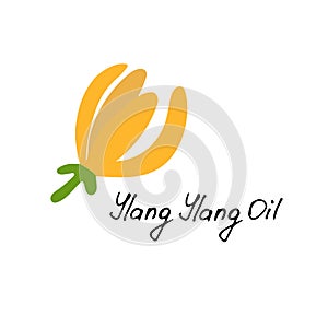 Tropical flower - ylang-ylang Cananga. Hand drawn element for print and web. Vector illustration