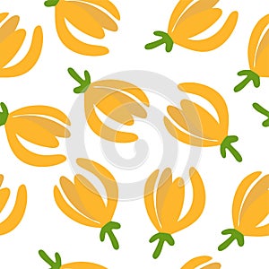 Tropical flower - ylang-ylang Cananga. Seamless pattern. Hand drawn element for print and web. Vector illustration