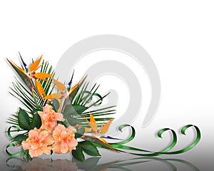 Tropical Flowers Border elegant