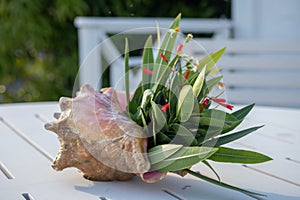 tropical flowers in a conch shell