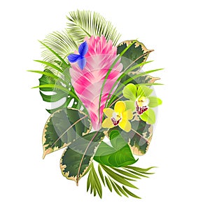 Tropical flowers floral arrangement, with tillandsia cyanea and orchids cymbidium palm,philodendron vintage vector illustrati