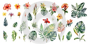 Tropical flowers, jungle leaves, monstera leaf, hibiscus, bird of paradise flower, plumeria, orchid, strelitzia.