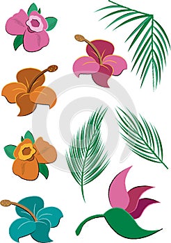 Tropical Flowers and Leaves