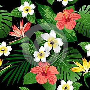 Tropical flowers and leaves on background.