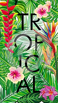 Tropical flowers, palm leaves, flower, strips.