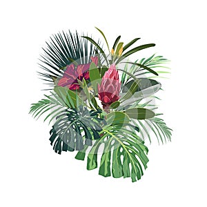 Tropical flowers, palm monstera leaves, hibiscus and protea flower.