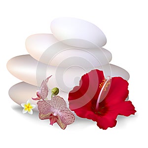 Tropical flowers. Plumeria. Frangipani. Spa. White stones. Red hibiscus. Pink orchid. Health. Asia. Exotics. Background.