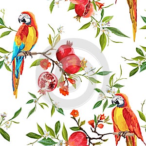 Tropical Flowers, Pomegranates and Parrot Birds Background