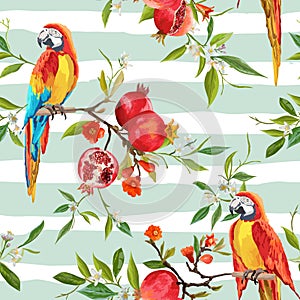 Tropical Flowers, Pomegranates and Parrot Birds Background