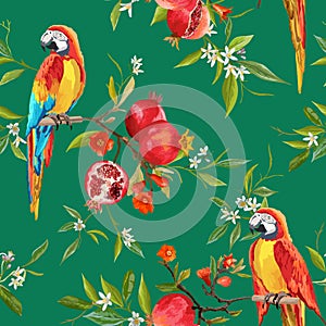 Tropical Flowers, Pomegranates and Parrot Birds Background