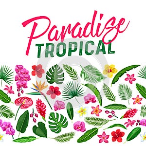 Tropical flowers seamless border