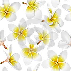 Tropical flowers seamless pattern