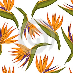 Tropical flowers seamless pattern. Fabric print. Exotic textile design. Orange floral plant in cartoon style