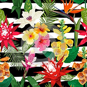 Tropical Flowers Seamless Pattern. Summer Floral Background with Tiger Lily Flower and Hibiskus. Blooming Design photo