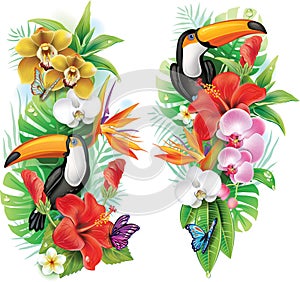 Tropical flowers and toucan photo