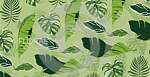 Tropical foliage. Creative layout from tropical leaves. Nature concept.