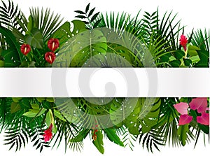 Tropical foliage. Floral design background