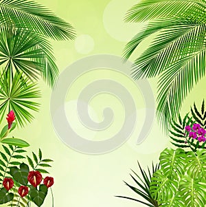 Tropical foliage. Floral design background